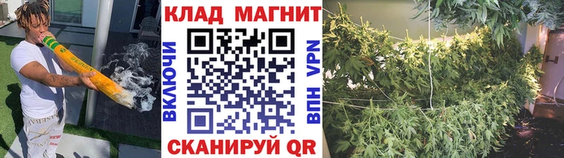 Купить наркотики сайты Пролетарск Конопля  СК  Галлюциногенные грибы  Меф 