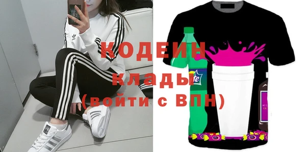 гашик Нея